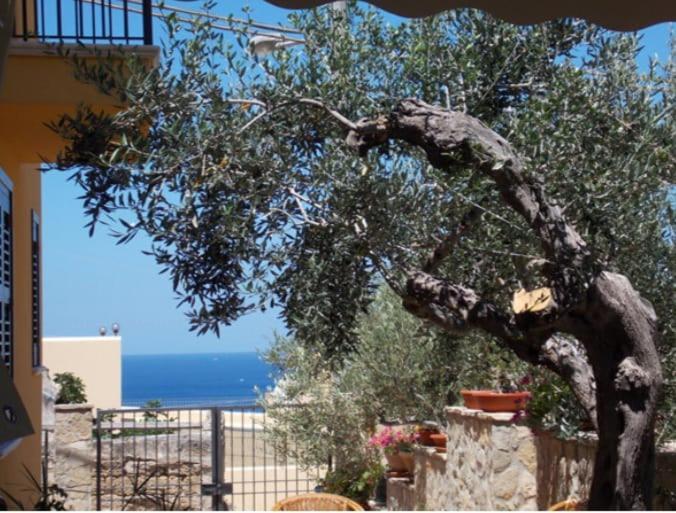 Modus B&B San Vito Lo Capo Exterior foto