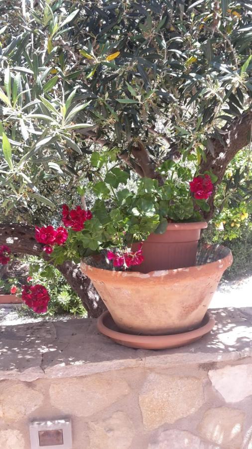 Modus B&B San Vito Lo Capo Exterior foto